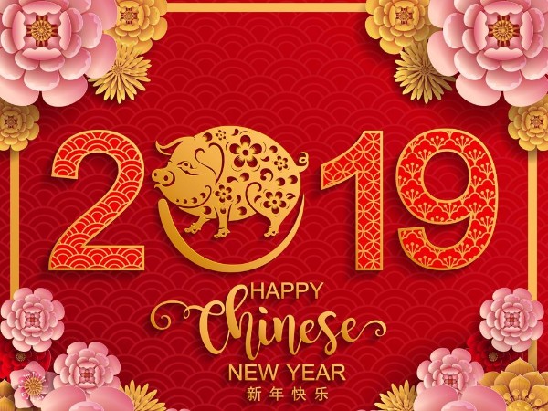 金豬送喜辭舊歲，雙志陪您慶新春！